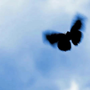 坤坤寒进桃子里在线看歌词动漫
